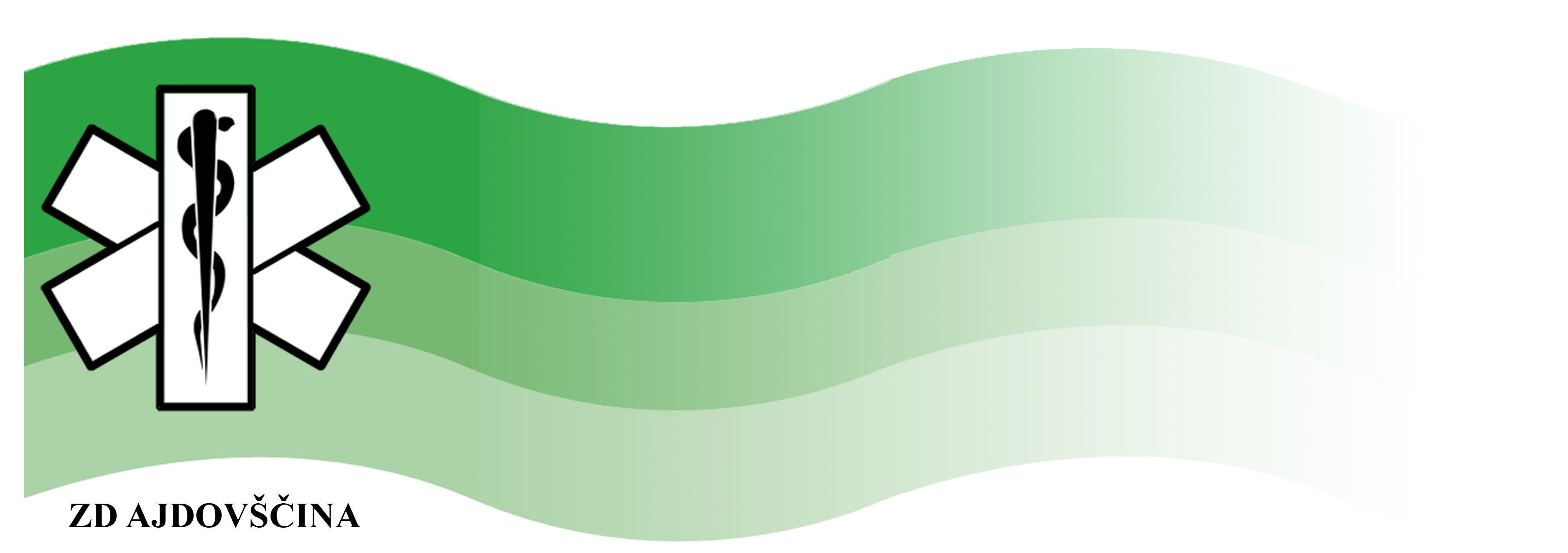 ZDRAVSTVENI DOM AJDOVŠČINA logo