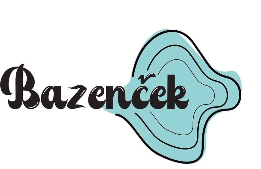 STEKLARSTVO DUŠAN MOŽE S.P. logo